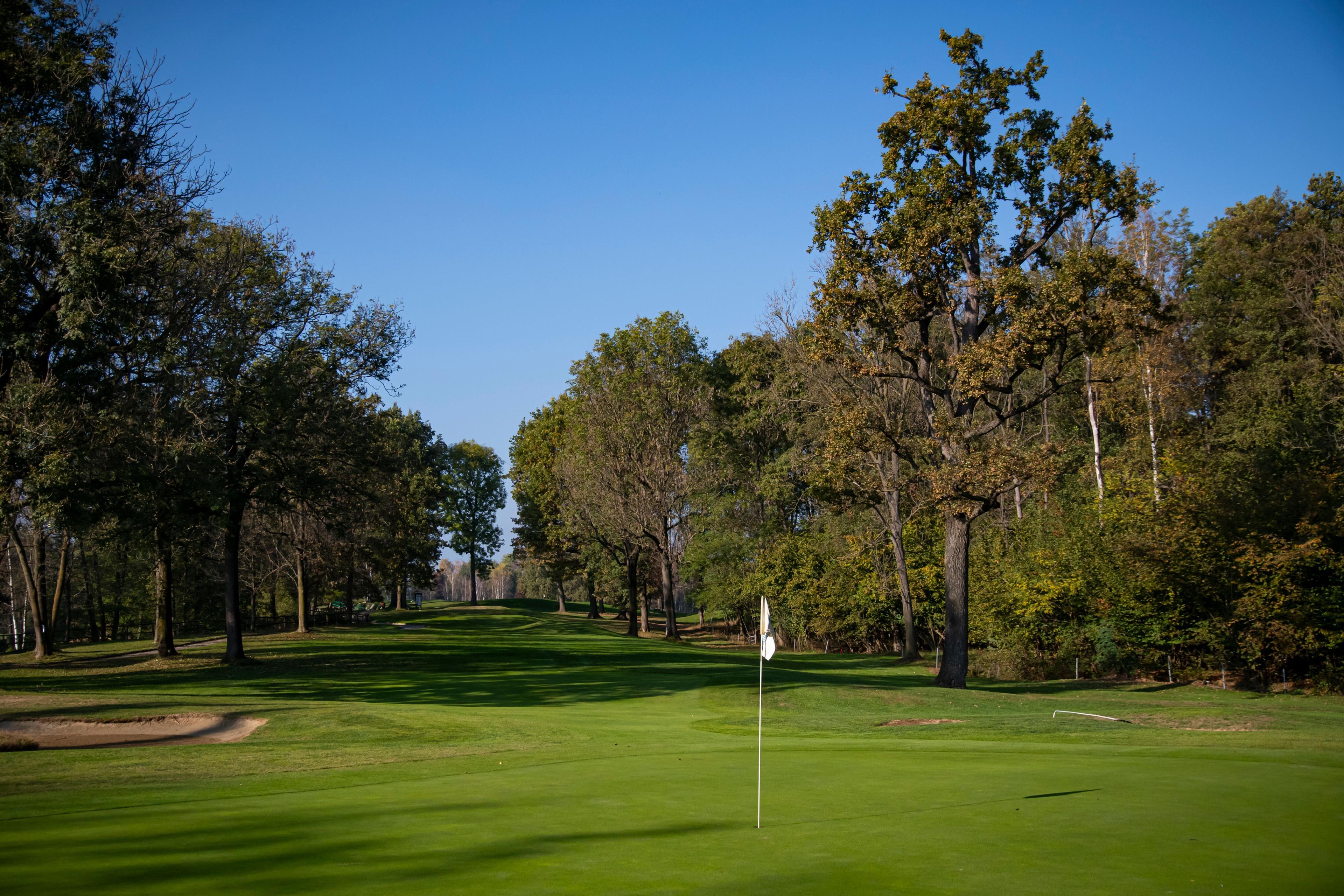 A narrow fairway lined with mature trees and lush greenery.