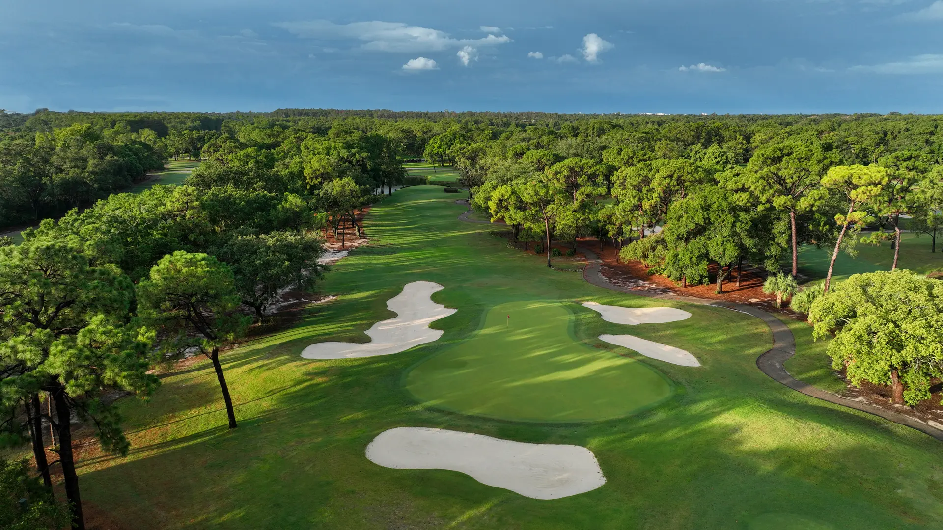 Overhead view of a smooth green surrounded by sand bunkers lined with forest trees