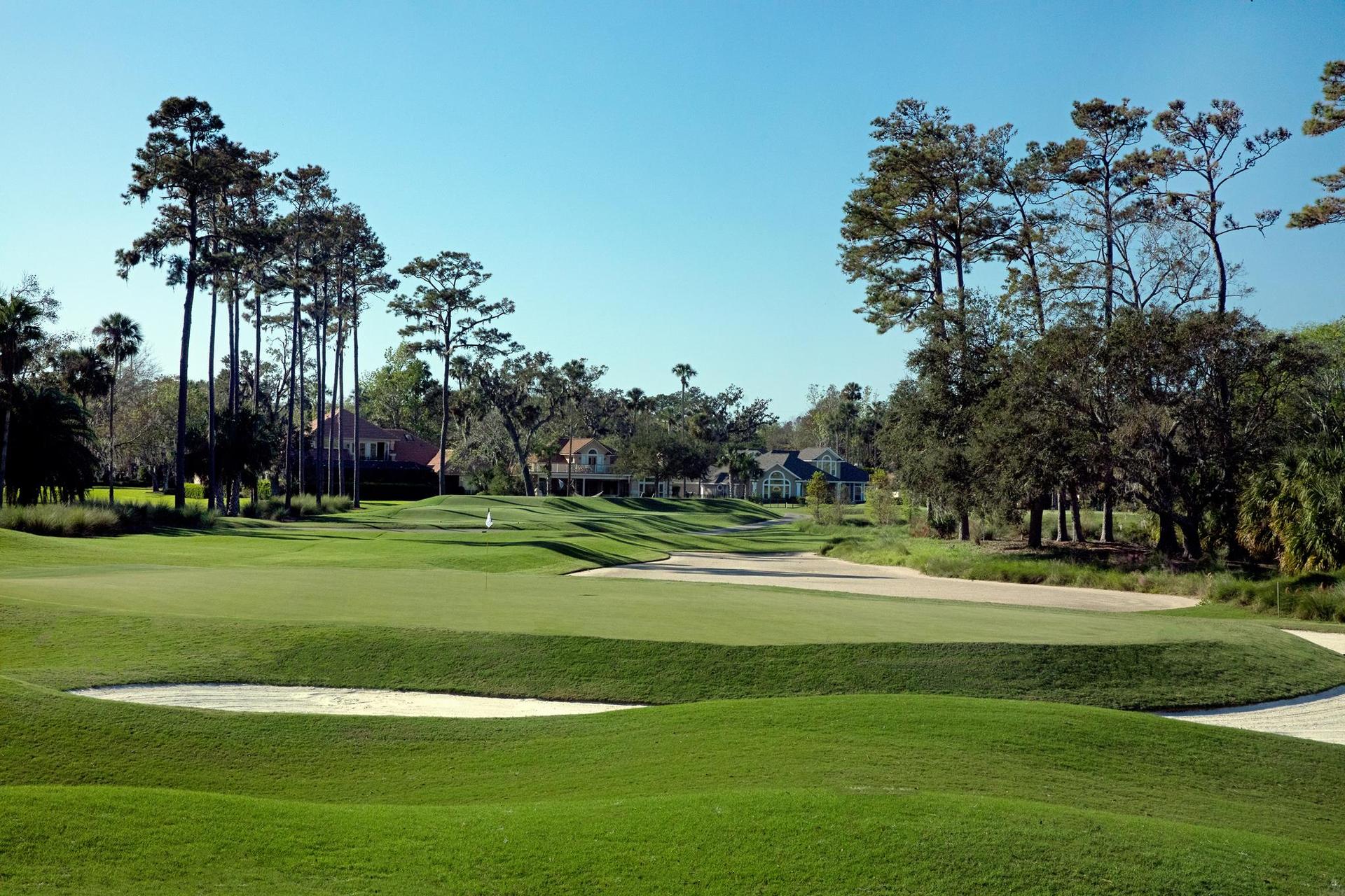 A smooth green surrounded by sand bunkers with town houses in the background