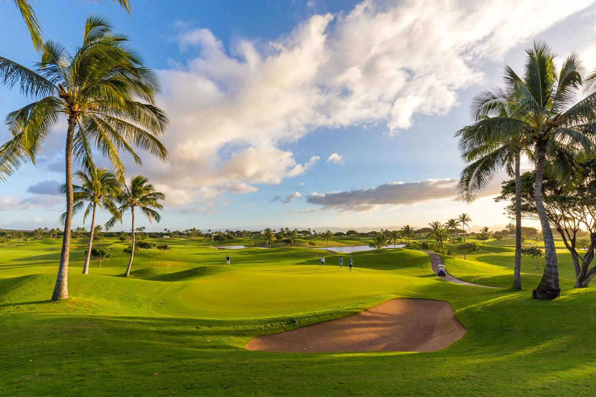 Four players on an undulating green with palm trees around