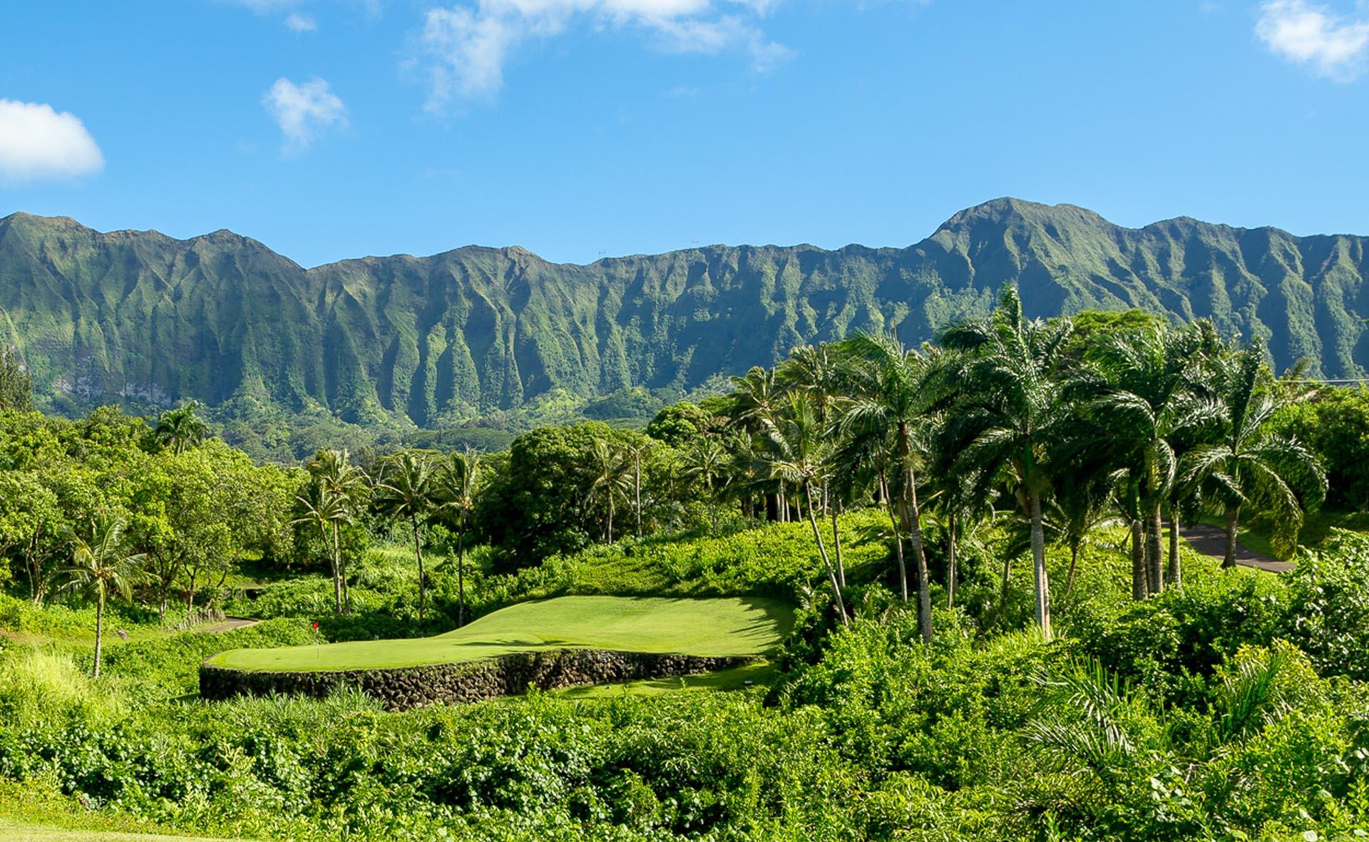 Thick foliage around a green with mountains in the background