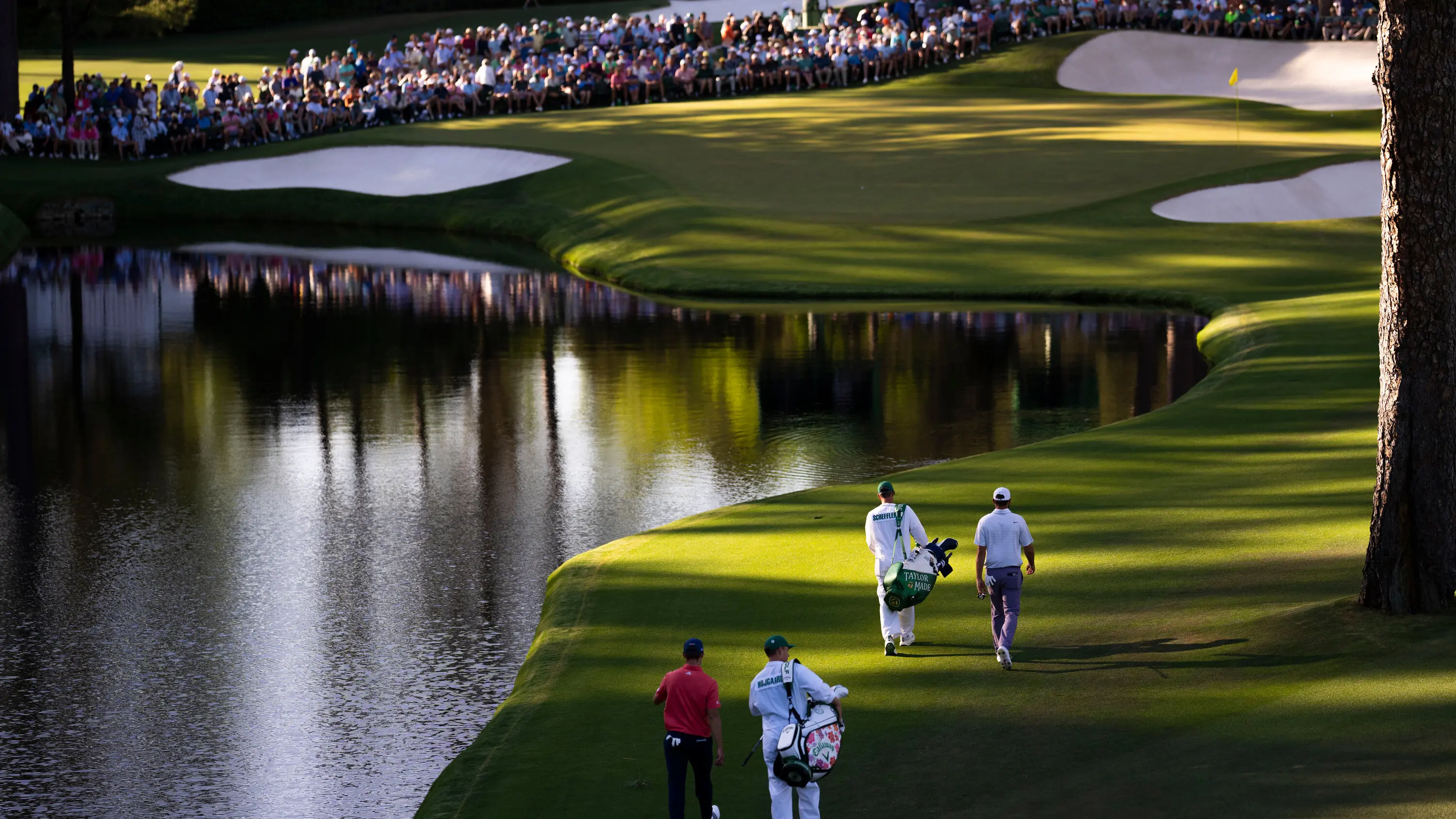 Scheffler and Hojgaard walking up a winding fairway with their caddies and a large water hazard on the left